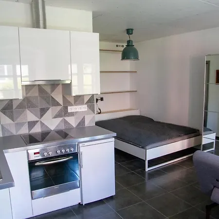 Apartment Garsoniera Sedlecka V Centru Kutne Hory *